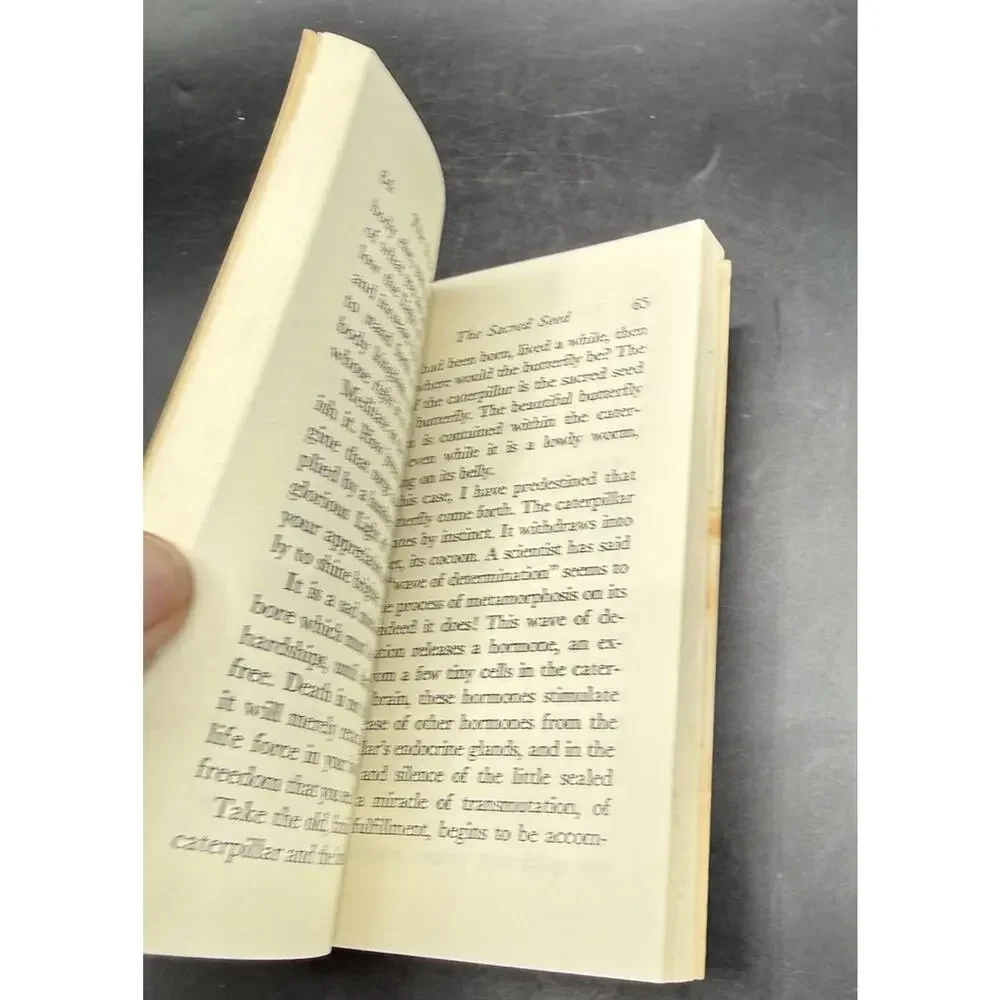 The Door Of Everything Ruby Nelson 1963 Small Rare Vintage Softcover